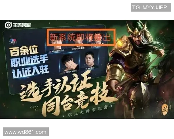 EDG战术解析：如何构建高效节奏体系提升王者荣耀竞技水平